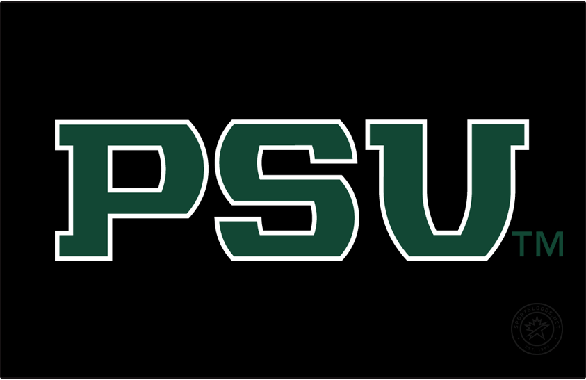 Portland State Vikings 2016-Pres Wordmark Logo v4 diy iron on heat transfer